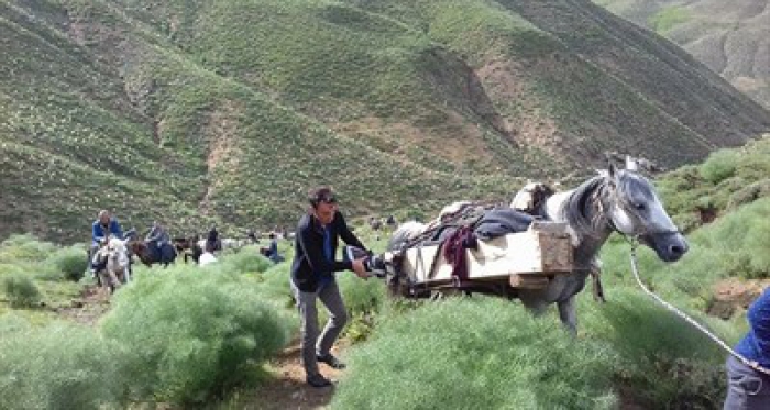 18 yaşındaki gencin feci ölümü