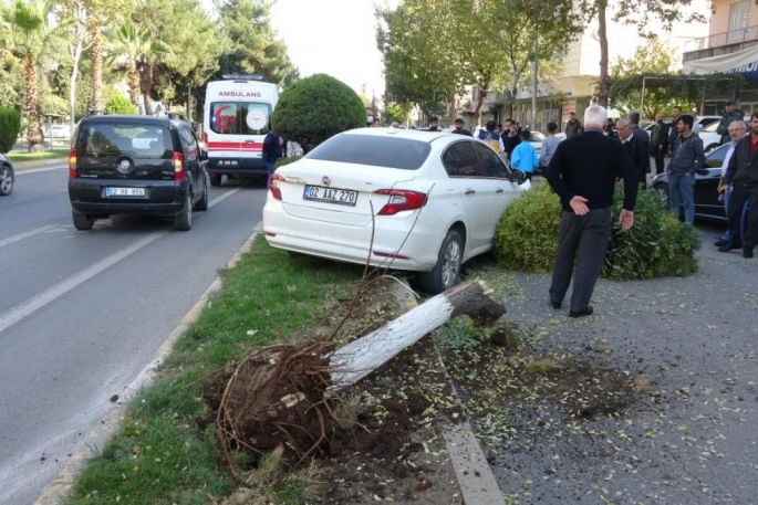  5 araçlı zincirleme kaza: 2 yaralı