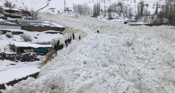 Ahırların üzerine çığ düştü: 46 hayvan telef oldu