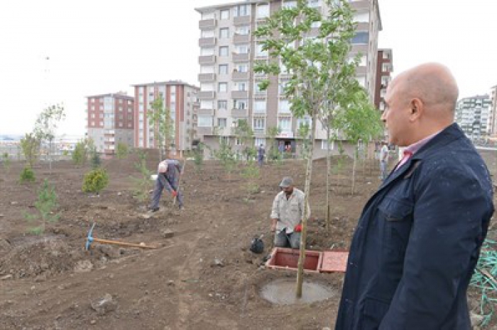 Ali Korkut, “Erzurum'a bozkır değil, yeşil görüntüsü yakışır”