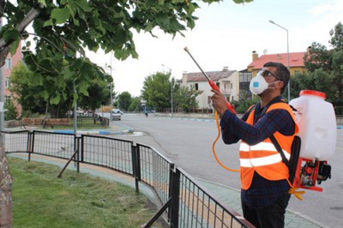 Aziziye’de kapsamlı ilaçlama çalışması başladı