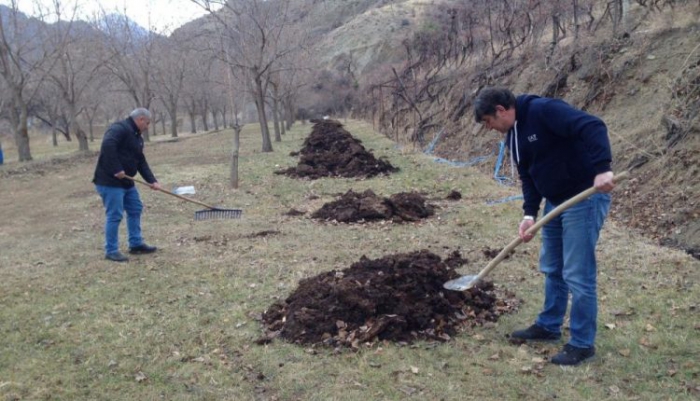 Batı illerinde kış, Oltu’da bahar havası