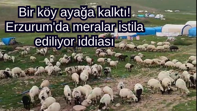 Bir köy ayağa kalktı! Erzurum'da meralar istila ediliyor iddiası