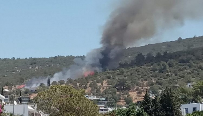 Bodrum’da yangın