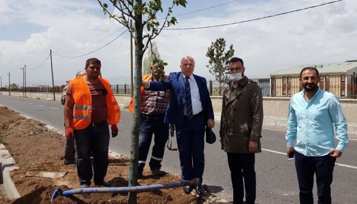 Büyükşehir’den Erzurum’a yemyeşil yatırım