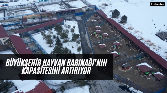 BÜYÜKŞEHİR HAYVAN BARINAĞI’NIN KAPASİTESİNİ ARTIRIYOR