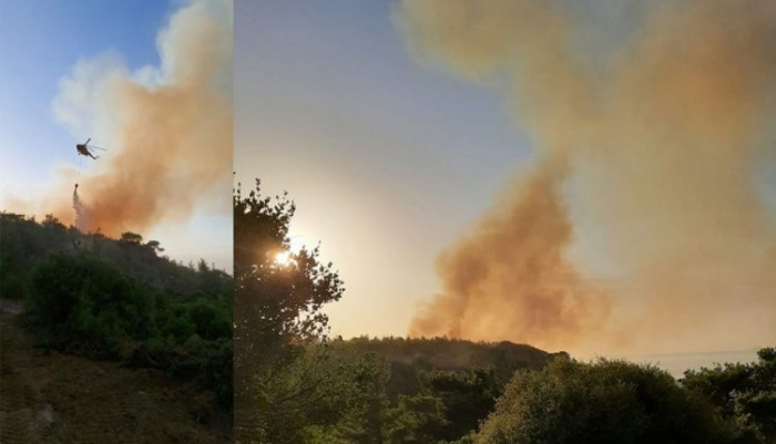 Çanakkale Ezine’de orman yangını çıktı