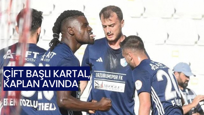 Çift Başlı Kartal, Kaplan avında