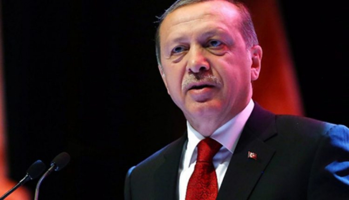 Cumhurbaşkanı Erdoğan’dan yangın bölgesinde önemli açıklamalar