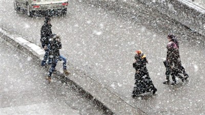 Doğu Anadolu ve Erzurum'da kar etkili oluyor 