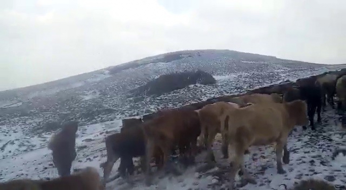 Doğu’da yüksek kesimlerde kar yağışı etkili oldu