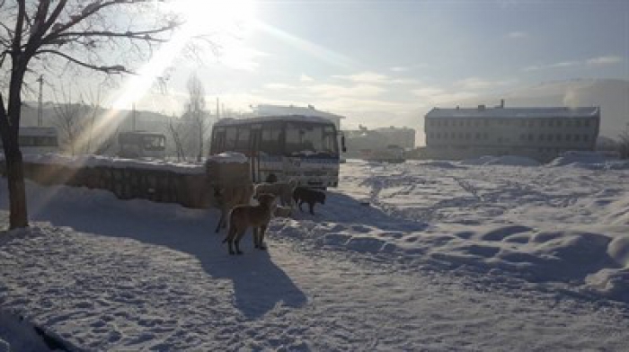 Erzurum Aşkale'de Hafif Şiddetli Deprem