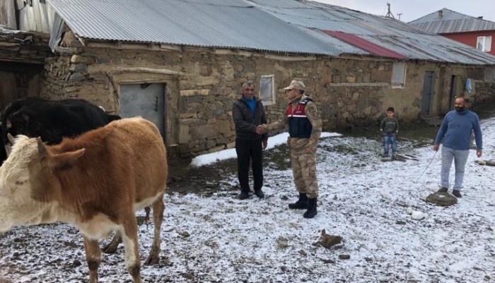 Erzurum Çaldıkları hayvanları satmaya çalışınca yakalandılar 