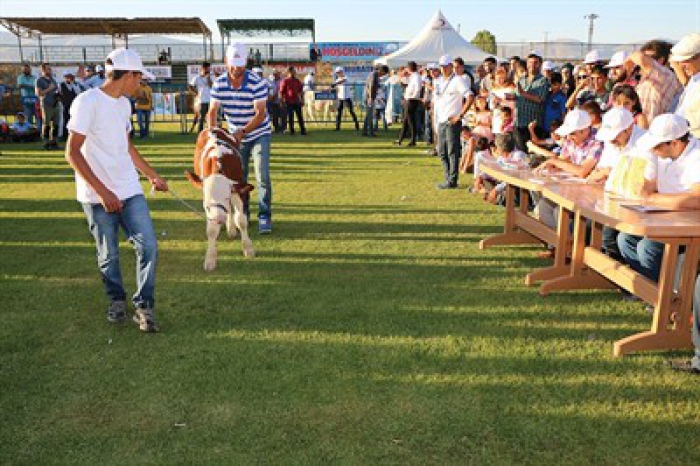 Erzurum Çermik Festivali dolu dolu devam ediyor