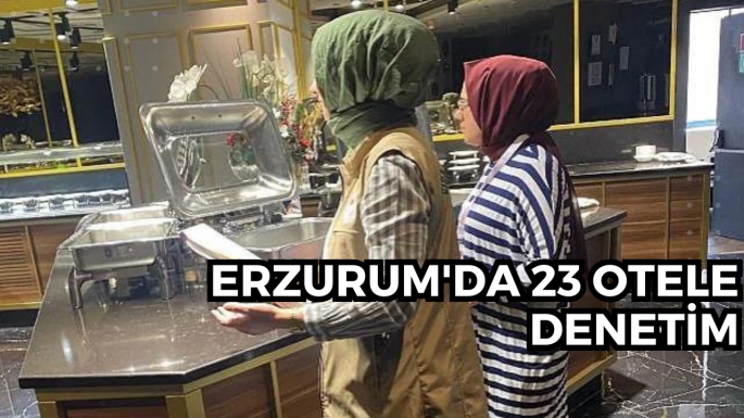 Erzurum'da 23 otele denetim