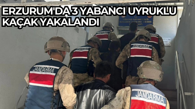 Erzurum'da 3 Yabancı Uyruklu Kaçak Yakalandı