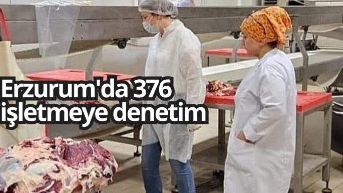 Erzurum'da 376 işletmeye denetim