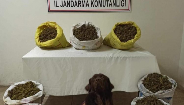 Erzurum’da 45 kilogram kubar esrar ele geçirildi