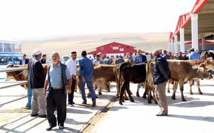 Erzurum'da Akpunar: “Kurbanlık fiyatlarında yükselme söz konusu değildir”