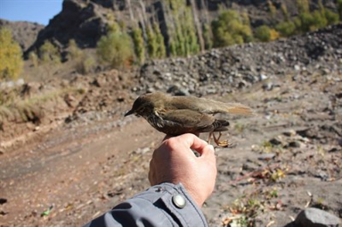 Erzurum'da Av sezonunun…