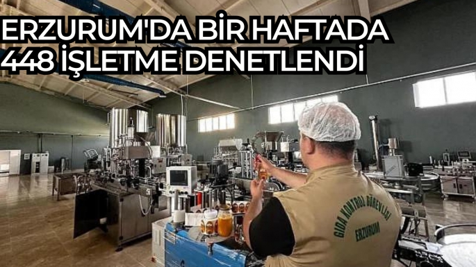 Erzurum'da bir haftada 448 işletme denetlendi