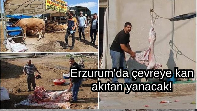 Erzurum'da çevreye kan akıtan yanacak!