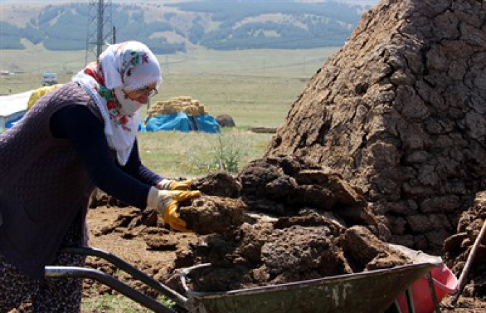 Erzurum'da Dolara İnat Tezek…