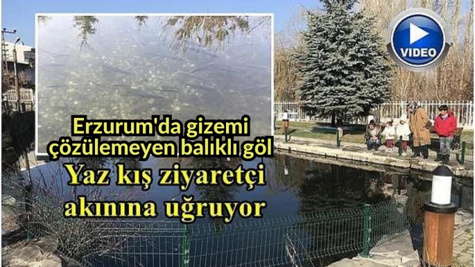 Erzurum'da gizemi çözülemeyen balıklı göl