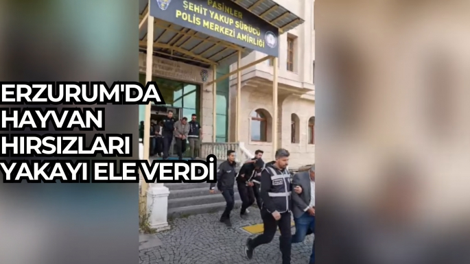 Erzurum'da hayvan hırsızları yakayı ele verdi