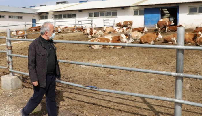 Erzurum’da hayvancılığa bilimsel yaklaşım