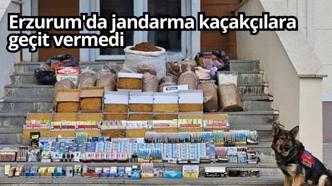 Erzurum'da jandarma kaçakçılara geçit vermedi