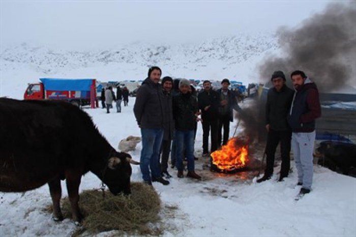 Erzurum'da kamyon kasasında hayvan pazarı!