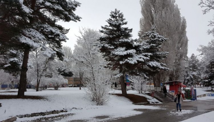 Erzurum’da kar yağışı 