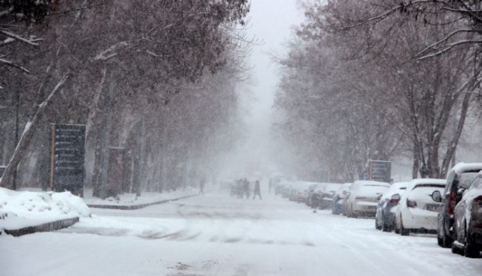 Erzurum’da kar yağışı