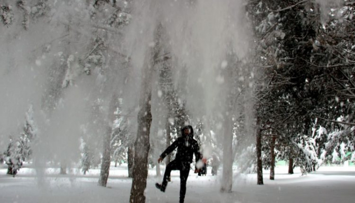 Erzurum’da kar yağışı, buzlanma ve tipi etkili oluyor