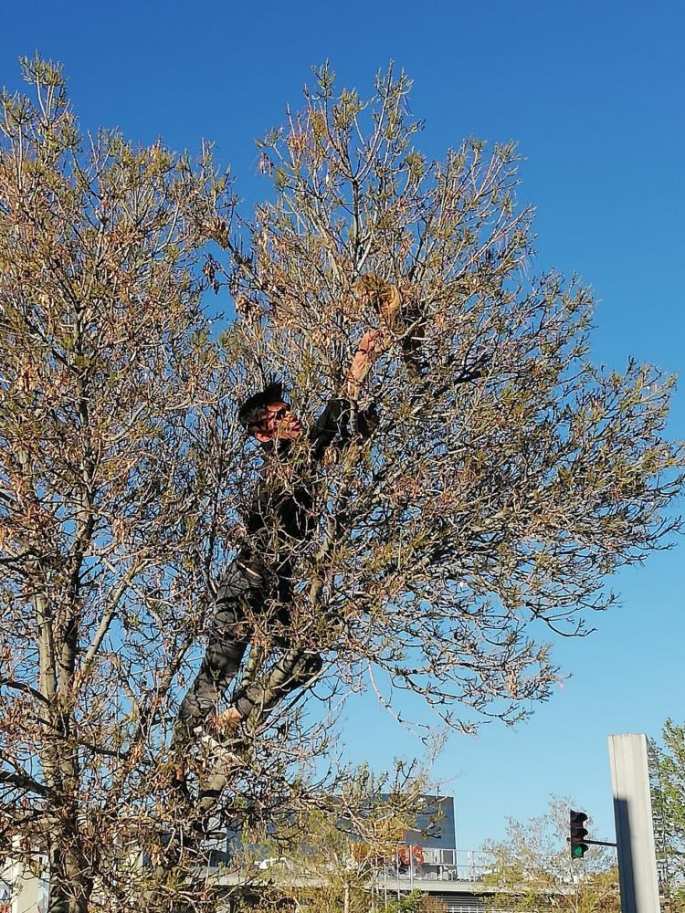 Erzurum'da kedi kurtarma operasyonu