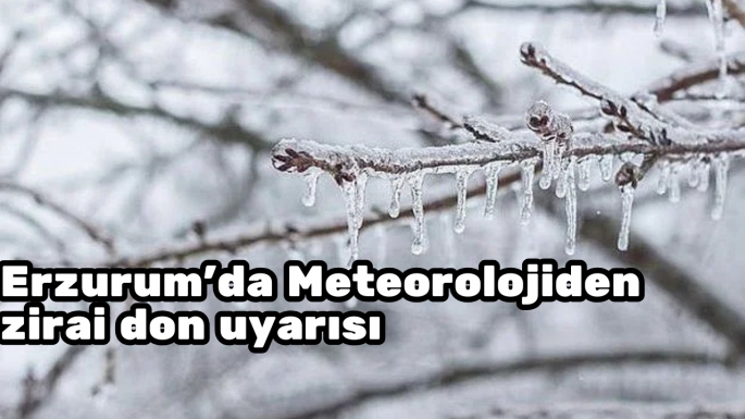 Erzurum'da Meteorolojiden zirai don uyarısı