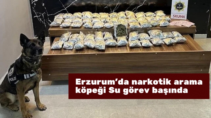 Erzurum'da narkotik arama köpeği Su görev başında