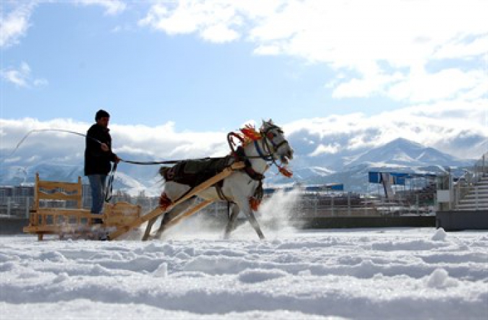 Erzurum’da nefes kesen atlı kızak yarışı 