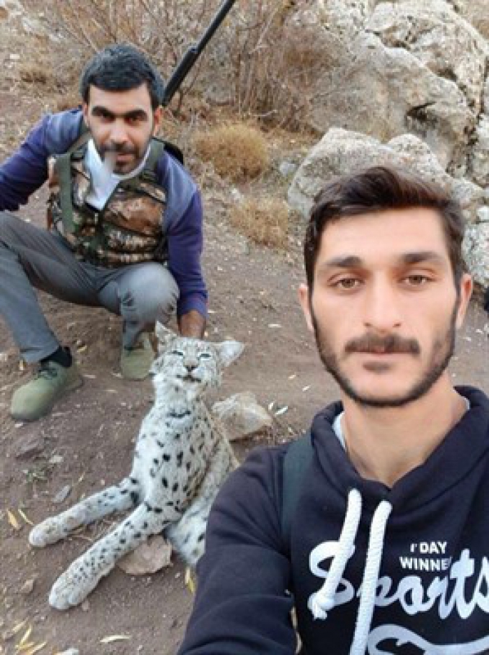 Erzurum'da nesli tükenmekte olan vaşağı vurup fotoğraf çektirdiler