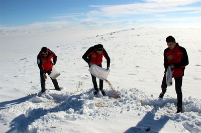 Erzurum'da Off road ekibinden yaban hayatına destek 