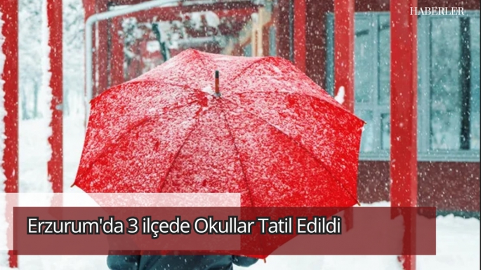 Erzurum'da Olumsuz Hava Koşulları Nedeniyle 3 İlçede Okullar Tatil Edildi