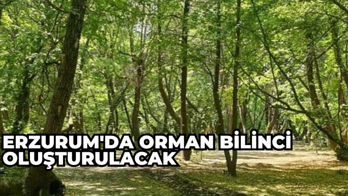 Erzurum'da orman bilinci oluşturulacak