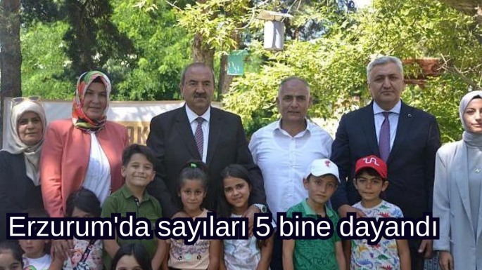 Erzurum'da sayıları 5 bine dayandı