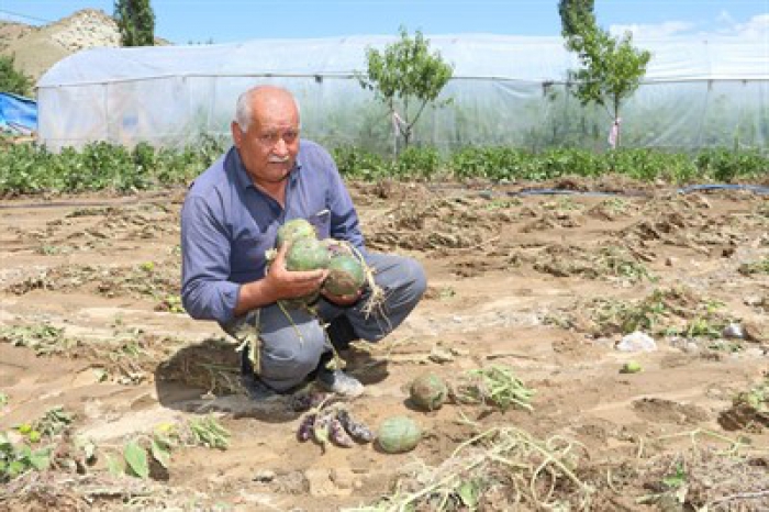 Erzurum'da Sel suları sera ve ekili alanlara zarar verdi