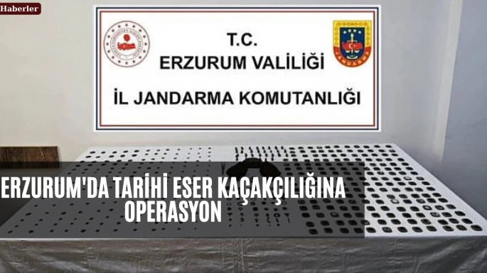 Erzurum'da tarihi eser kaçakçılığına operasyon