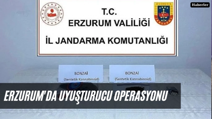 Erzurum'da uyuşturucu operasyonu 