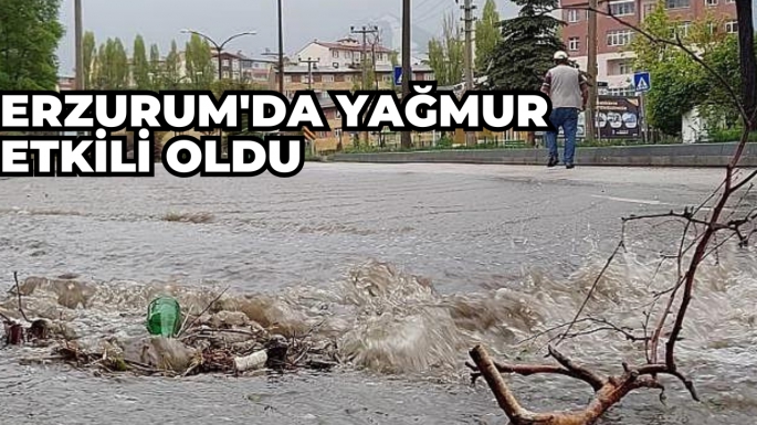 Erzurum'da yağmur etkili oldu