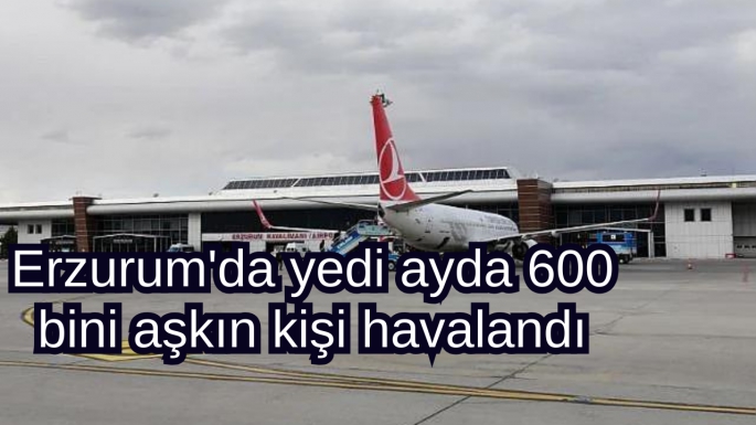 Erzurum'da yedi ayda 600 bini aşkın kişi havalandı