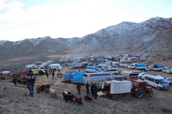 Erzurum hayvan pazarında dondurucu soğuk çileye dönüştü